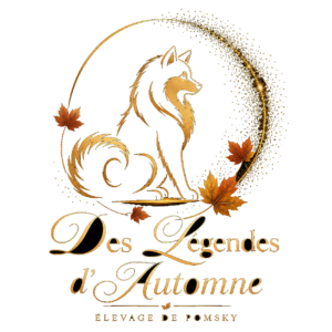 Des Légendes d'Automne